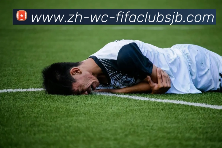 世界杯赛程平台生态图